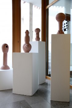 IMG 0686